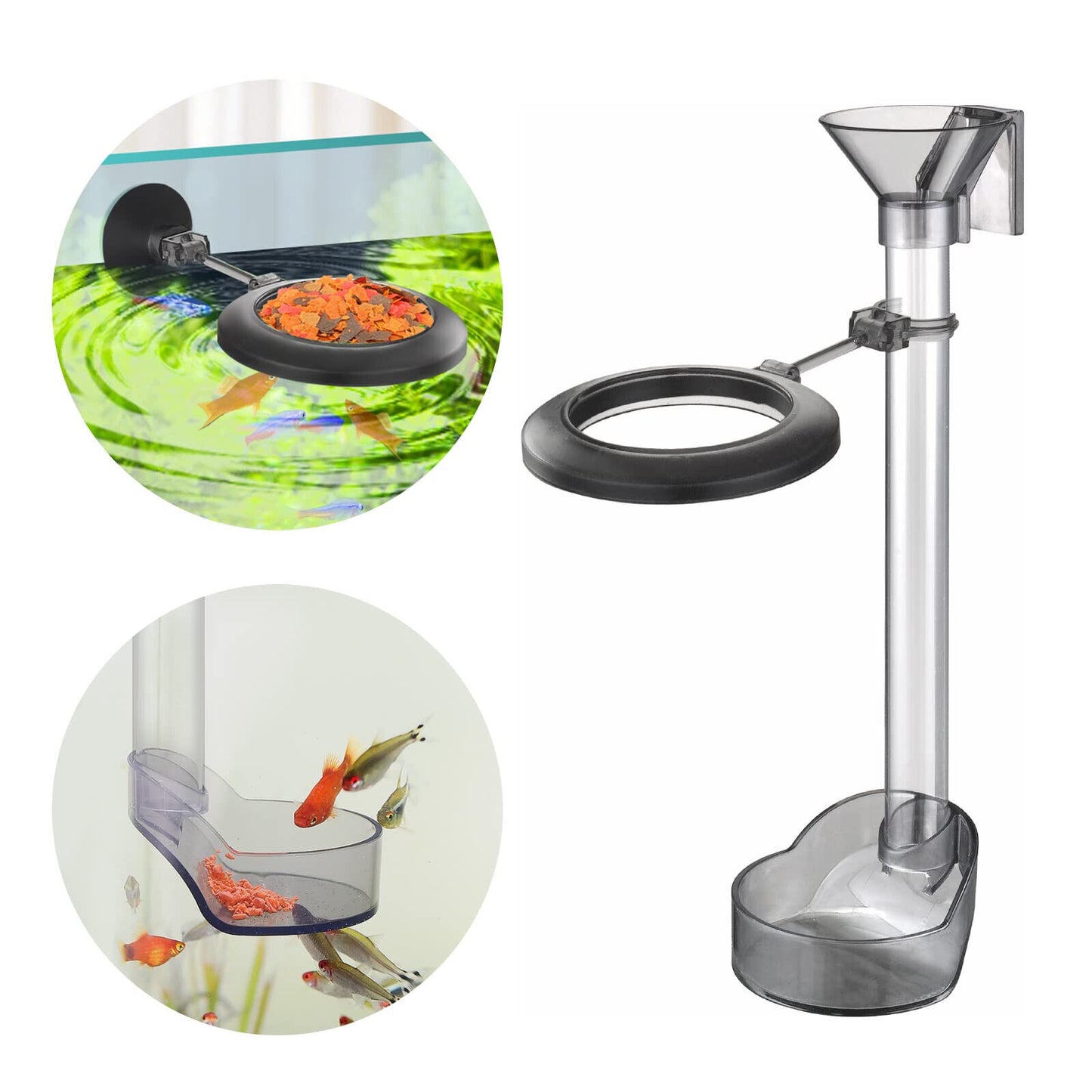 SEAHORSE / FISH FEEDING STATION