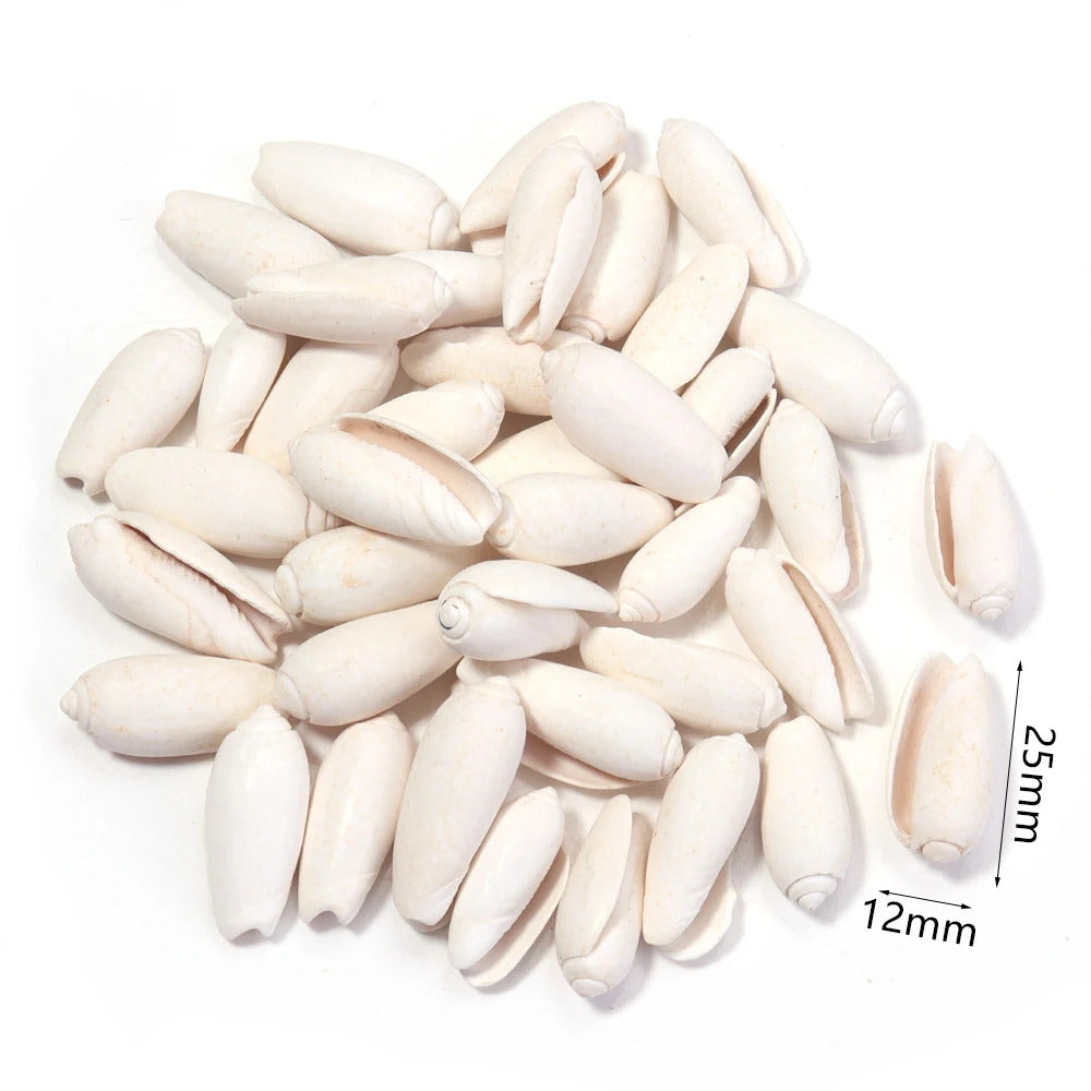 40g AQUARIUM SNAIL SHELLS (ZA06)