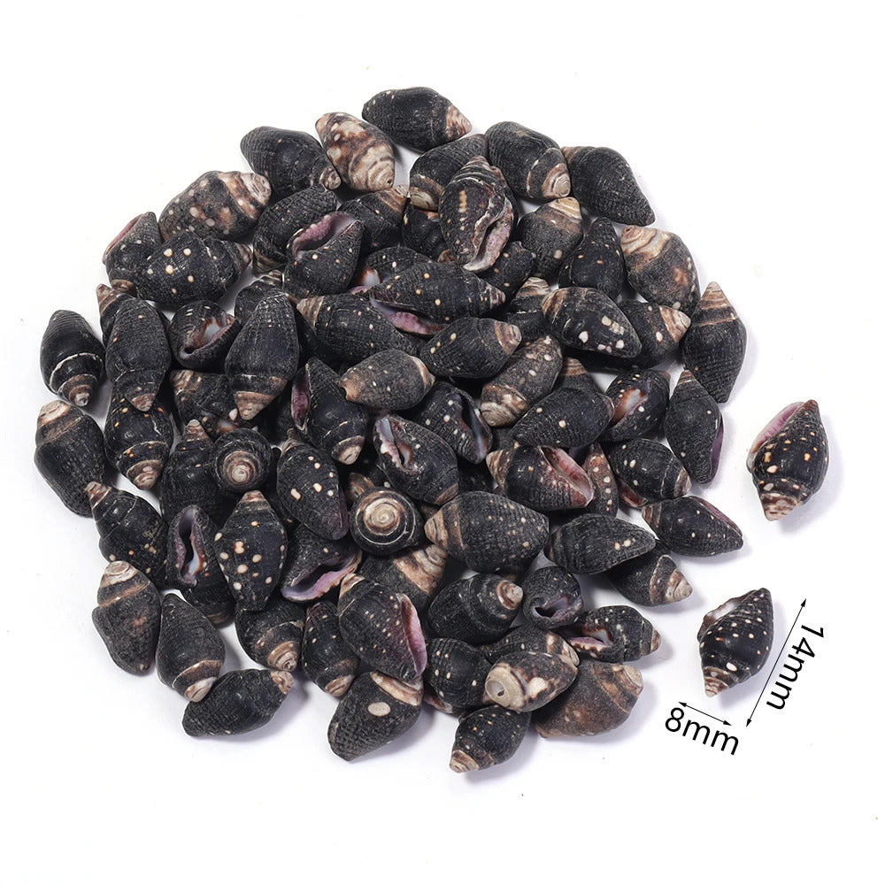 40g AQUARIUM SNAIL SHELLS (ZA12)