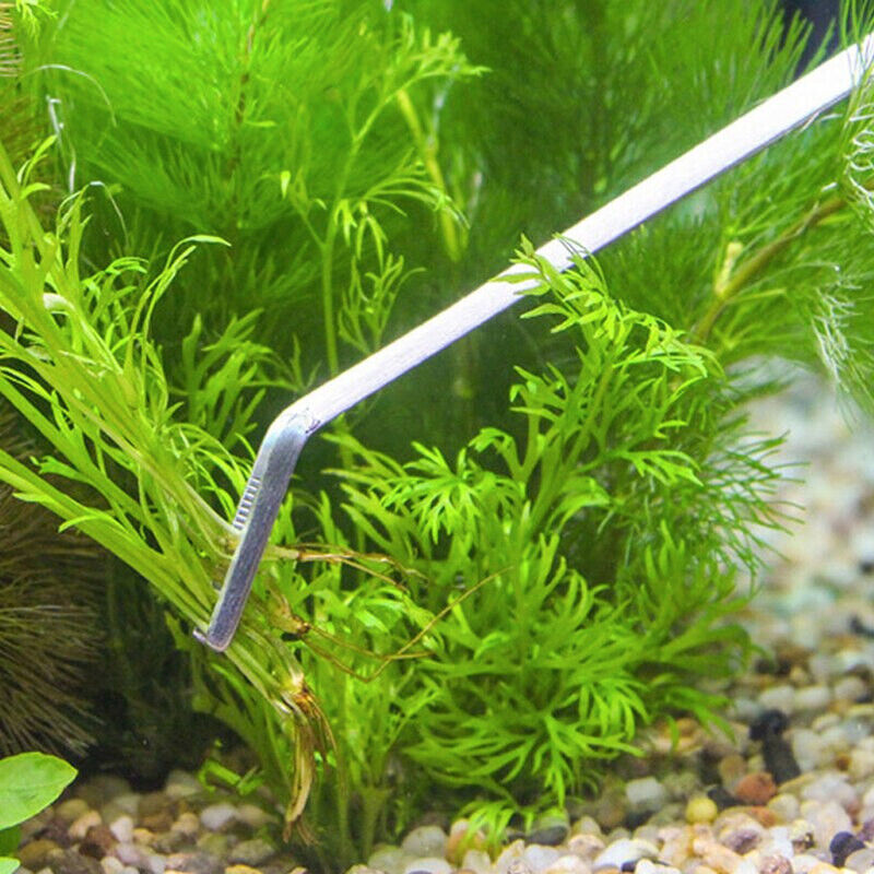 27cm STAINLESS STEEL TWEEZERS