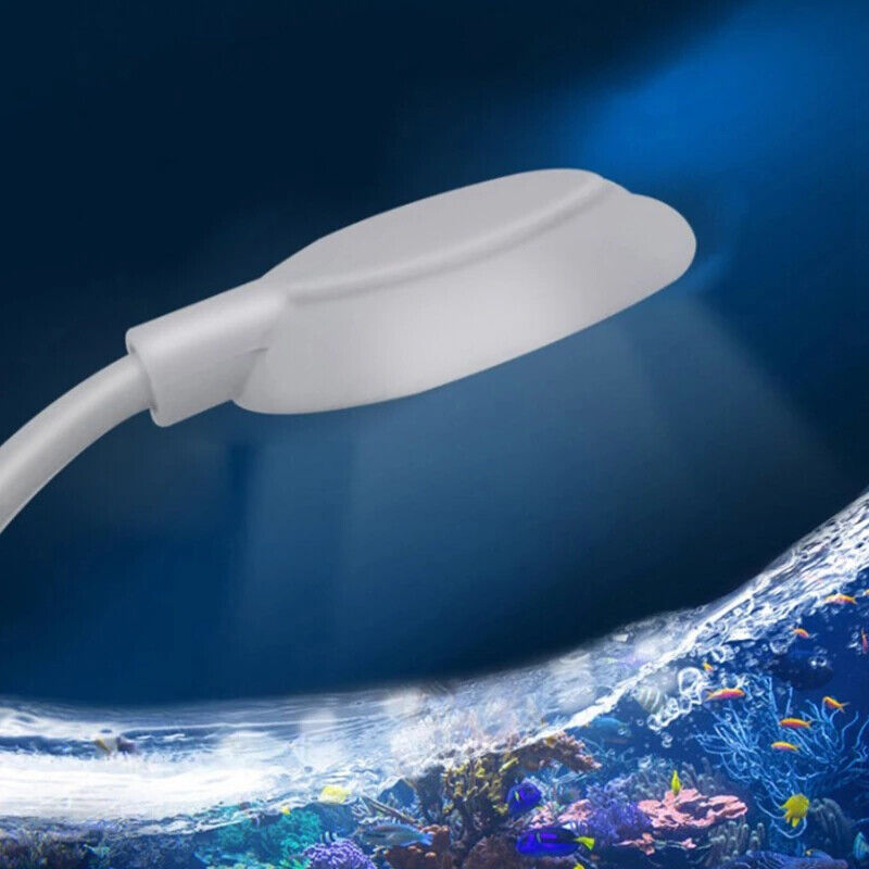 USB 5w LED AQUARIUM CLIP ON LED LIGHT UNIT BLUE & WHITE