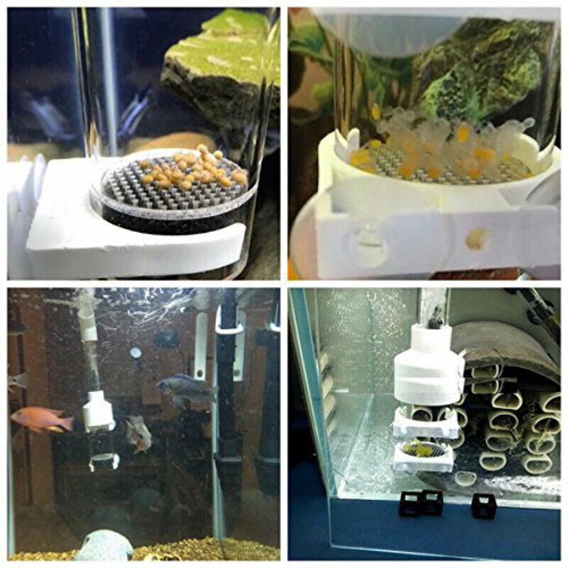 AQUARIUM CICHLID EGG TUMBLER FISH HATCHERY