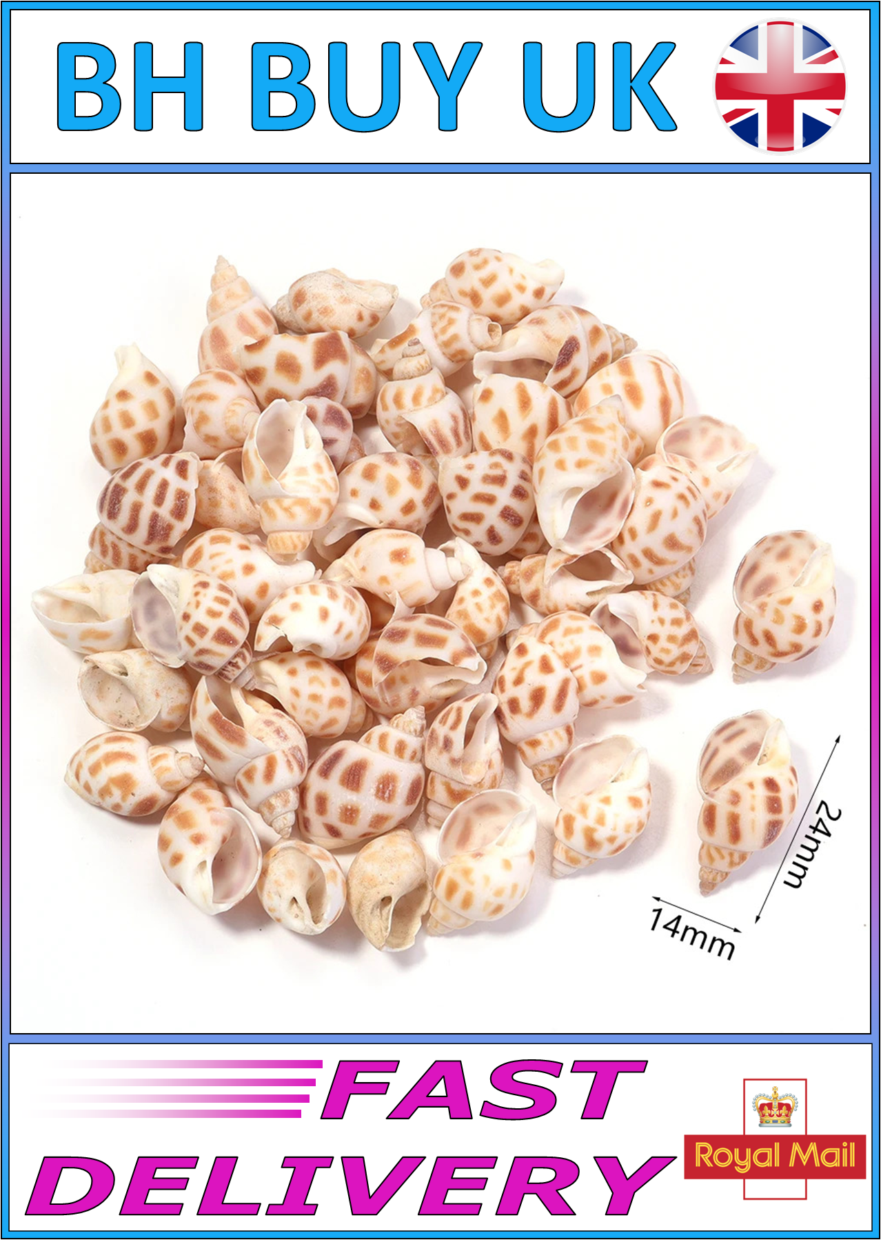 40g AQUARIUM SNAIL SHELLS (ZA04)