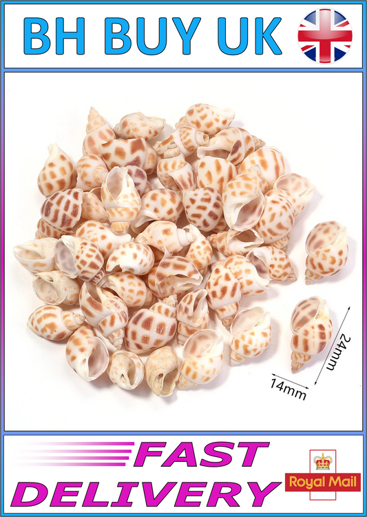 40g AQUARIUM SNAIL SHELLS (ZA04)
