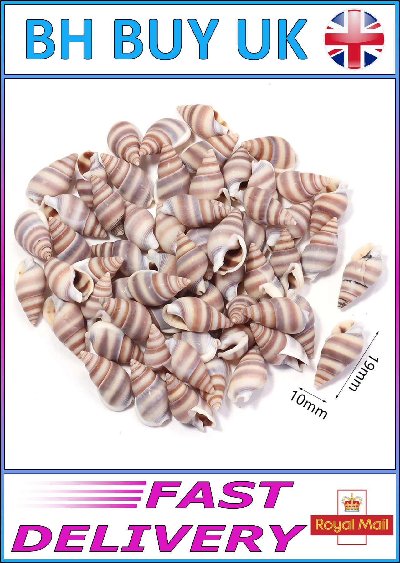 40g AQUARIUM SNAIL SHELLS (ZA05)