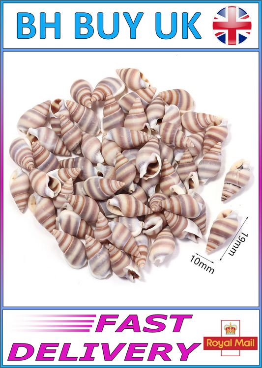 40g AQUARIUM SNAIL SHELLS (ZA05)