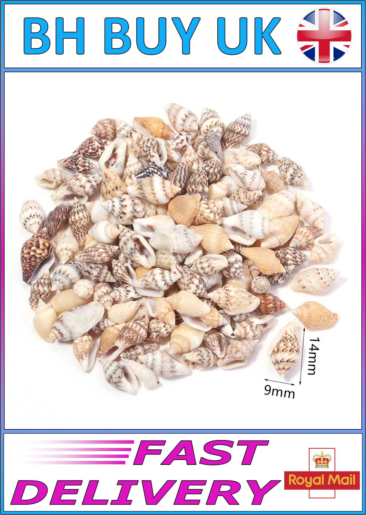 40g AQUARIUM SNAIL SHELLS (ZA10)