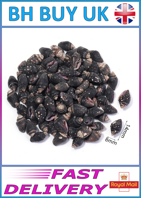40g AQUARIUM SNAIL SHELLS (ZA12)