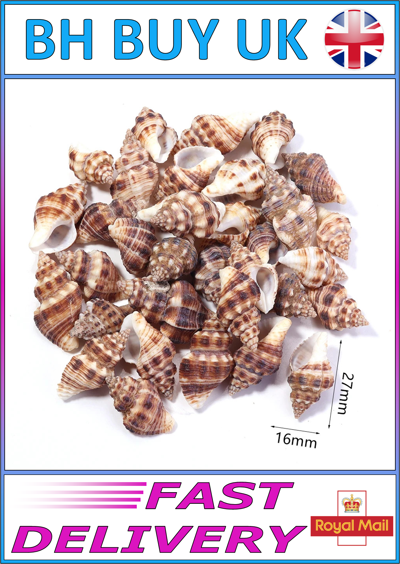 40g AQUARIUM SNAIL SHELLS (ZA01)