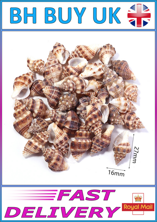 40g AQUARIUM SNAIL SHELLS (ZA01)