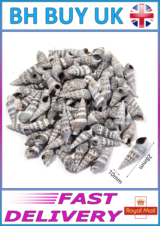 40g AQUARIUM SNAIL SHELLS (ZA02)