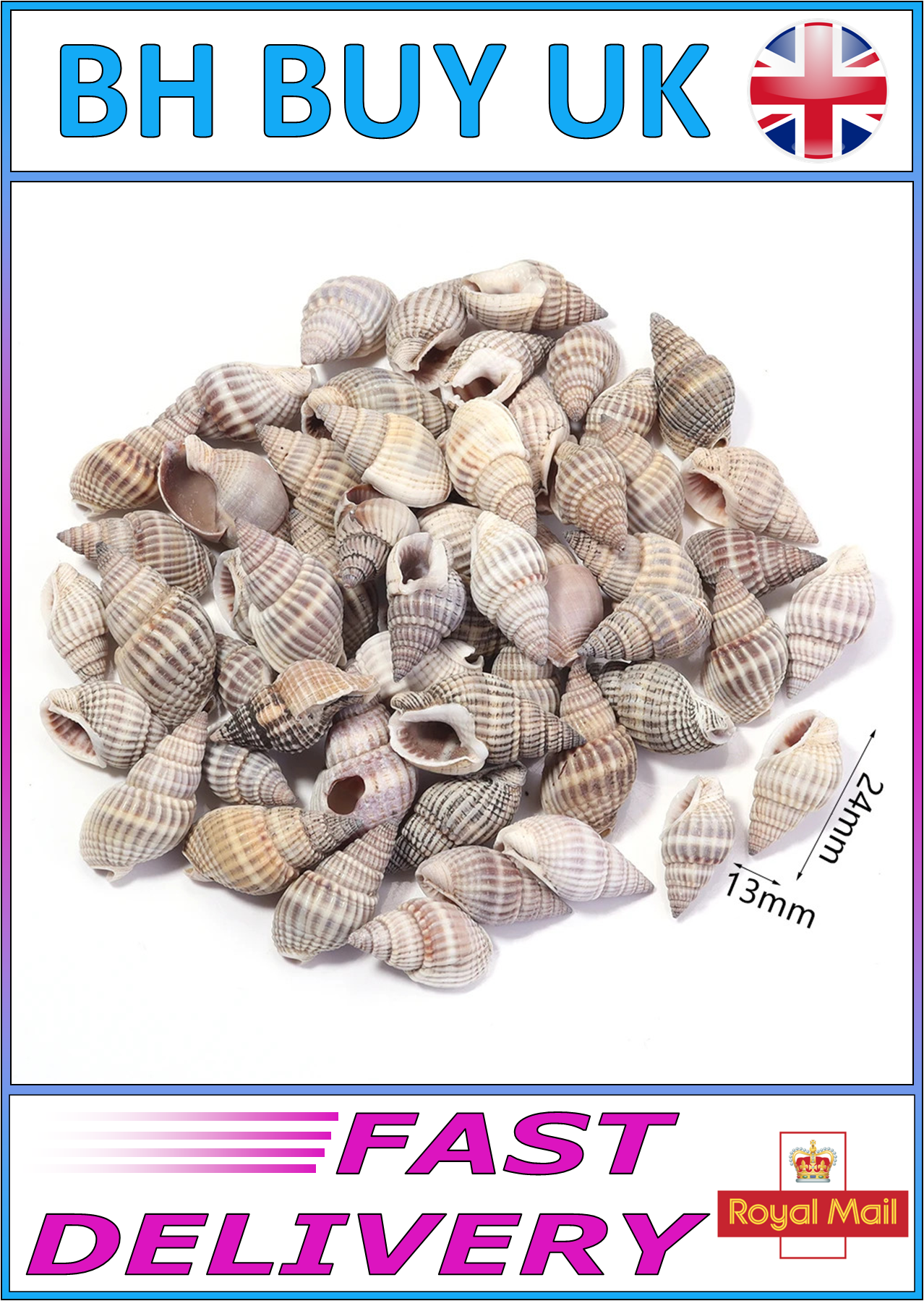 40g AQUARIUM SNAIL SHELLS (ZA03)