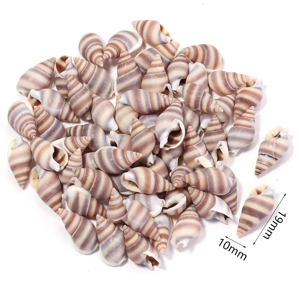 40g AQUARIUM SNAIL SHELLS (ZA05)