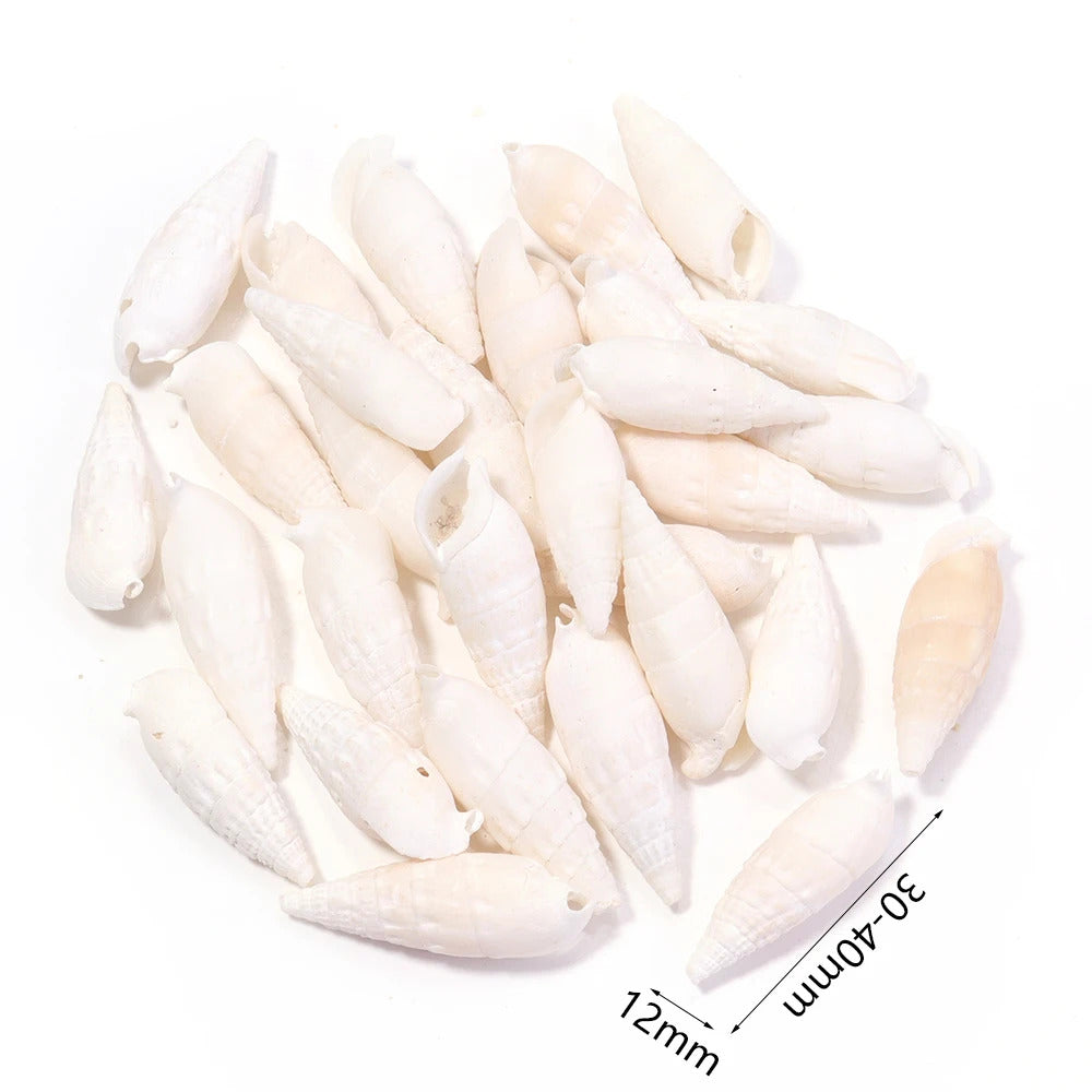 40g AQUARIUM SNAIL SHELLS (ZA07)