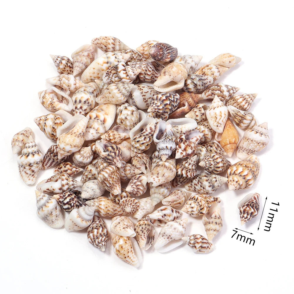 40g AQUARIUM SNAIL SHELLS (ZA08)