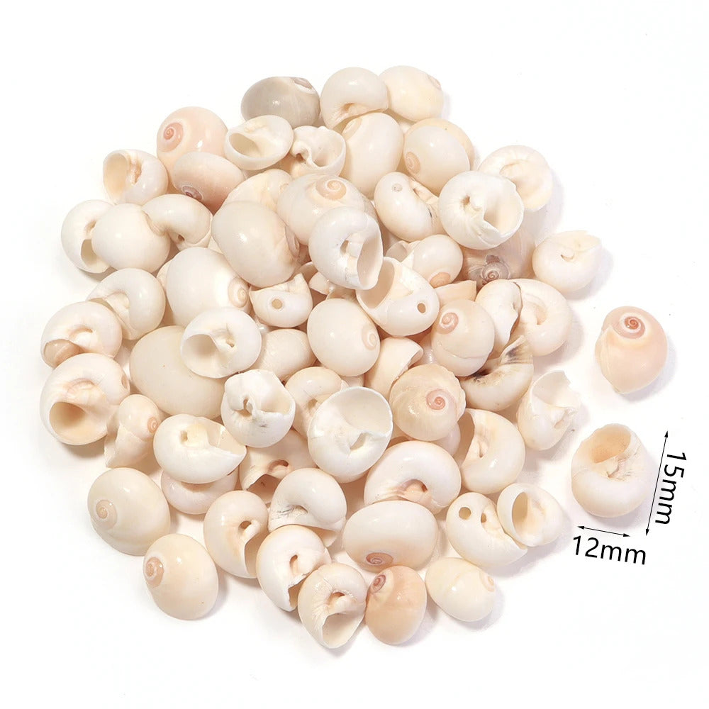 40g AQUARIUM SNAIL SHELLS (ZA09)
