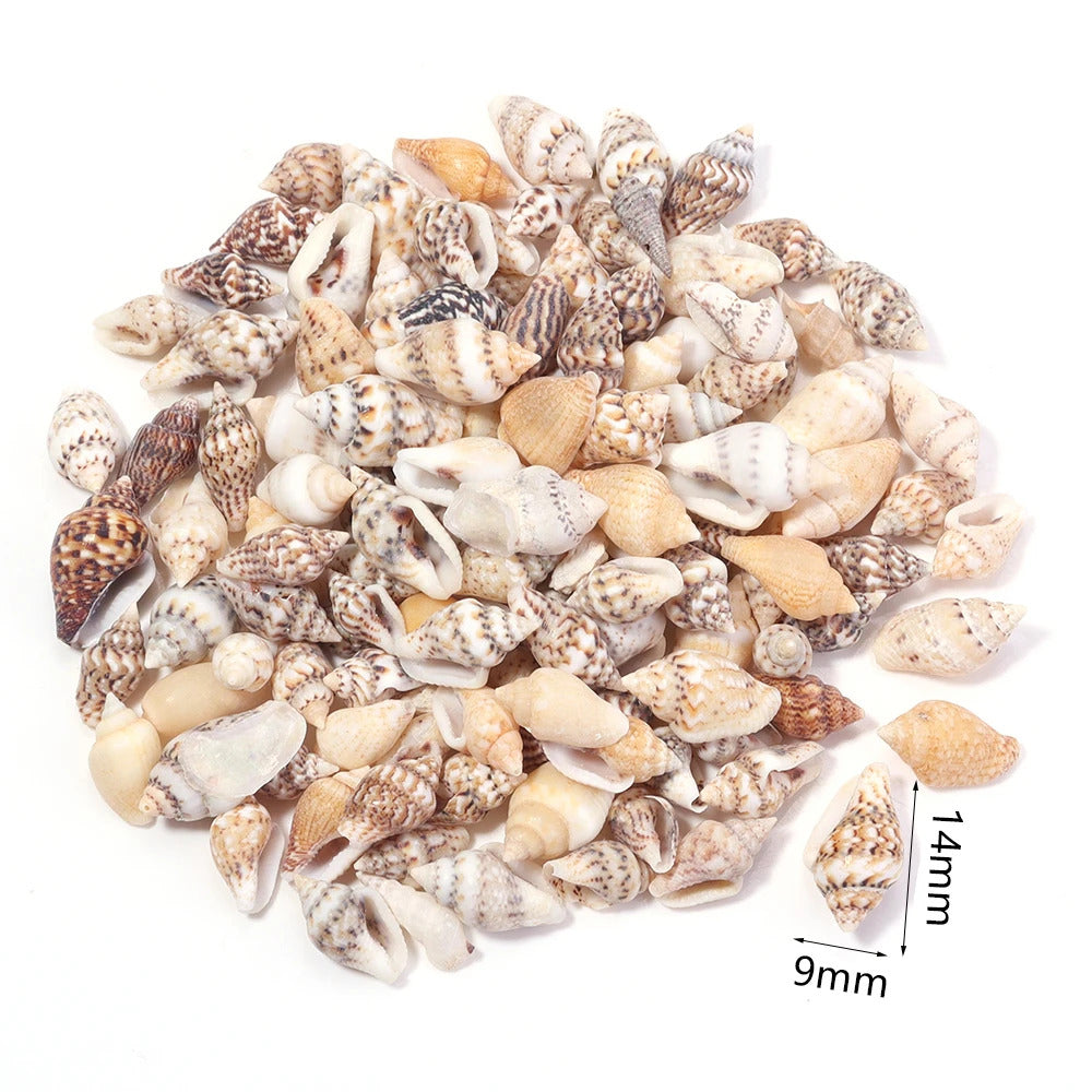 40g AQUARIUM SNAIL SHELLS (ZA10)