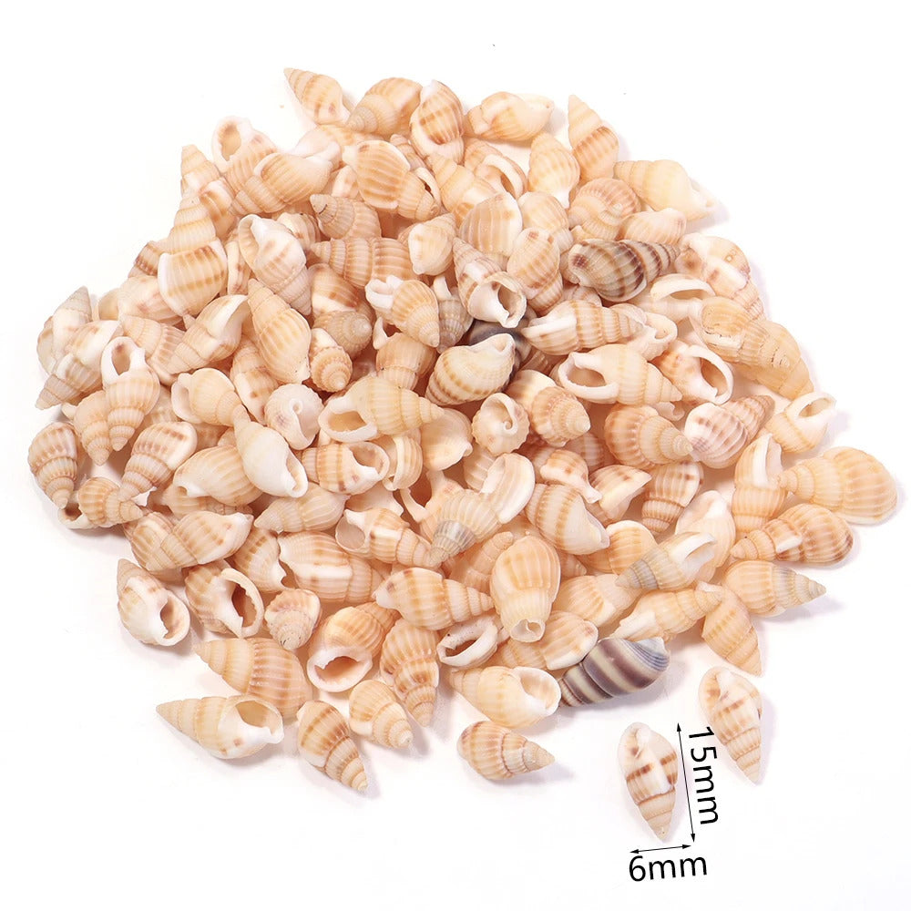 40g AQUARIUM SNAIL SHELLS (ZA11)