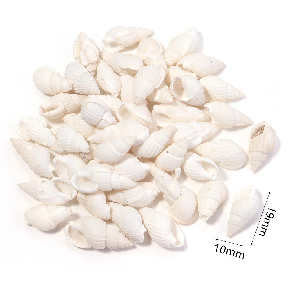 40g AQUARIUM SNAIL SHELLS (ZA13)