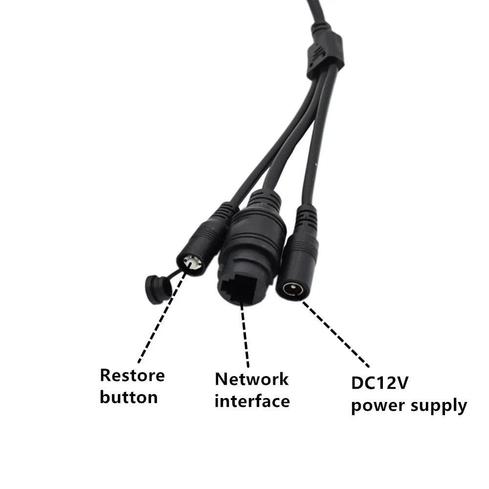 WIFI BIRD BOX CAMERA - NIGHT VISION NATURE CAM
