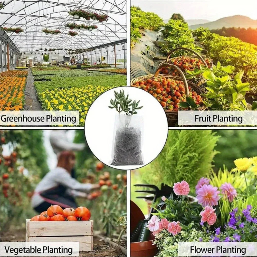 100 x BIODEGRADABLE SEEDLING BAGS