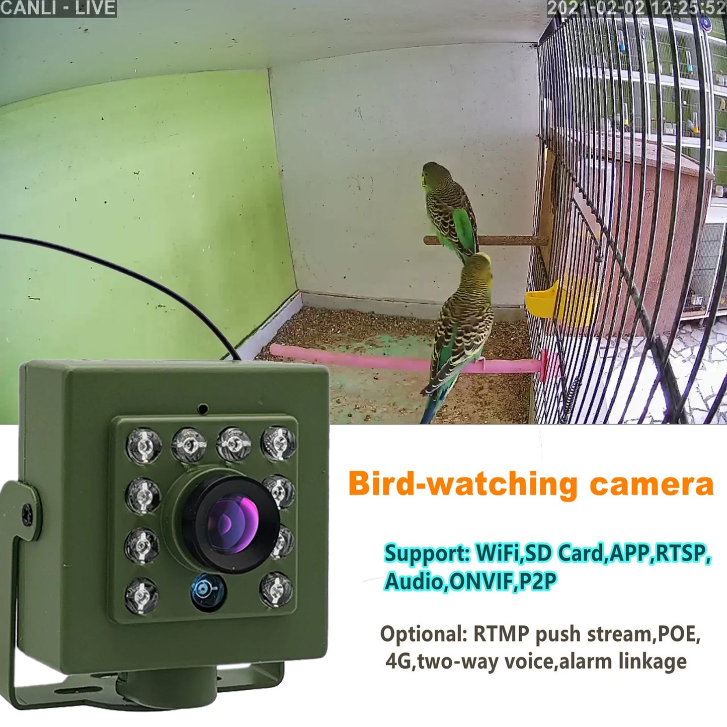 WIFI BIRD BOX CAMERA - NIGHT VISION NATURE CAM