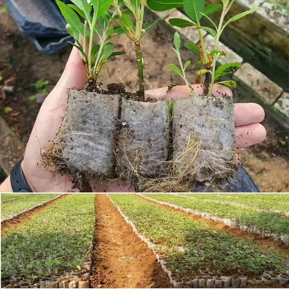 100 x BIODEGRADABLE SEEDLING BAGS