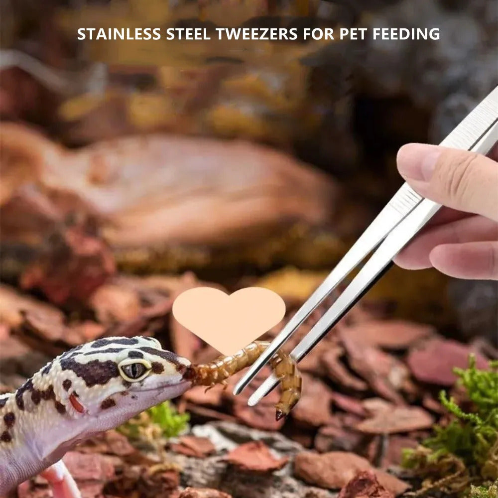 30cm STAINLESS STEEL STRAIGHT / CURVED TWEEZERS
