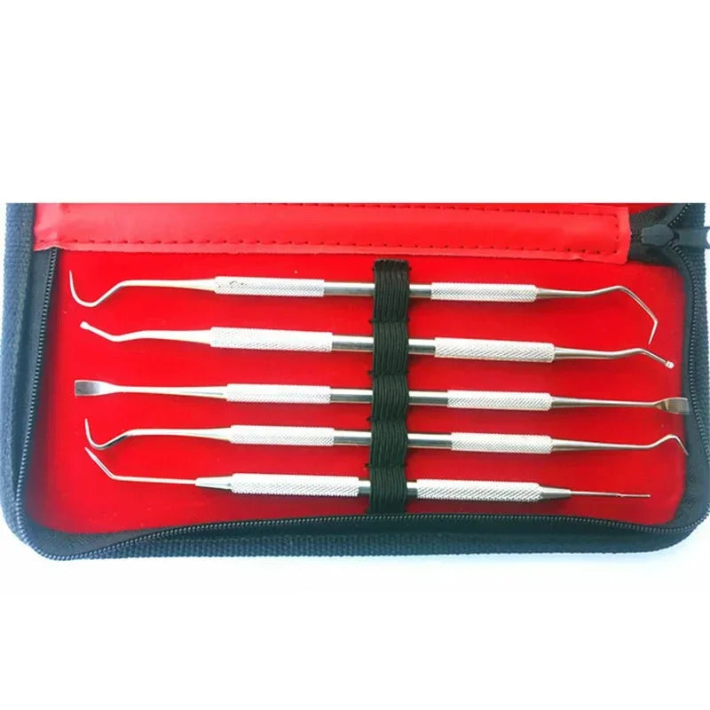 CLEANING BRUSH & PICK SET IN CASE 9 PACK