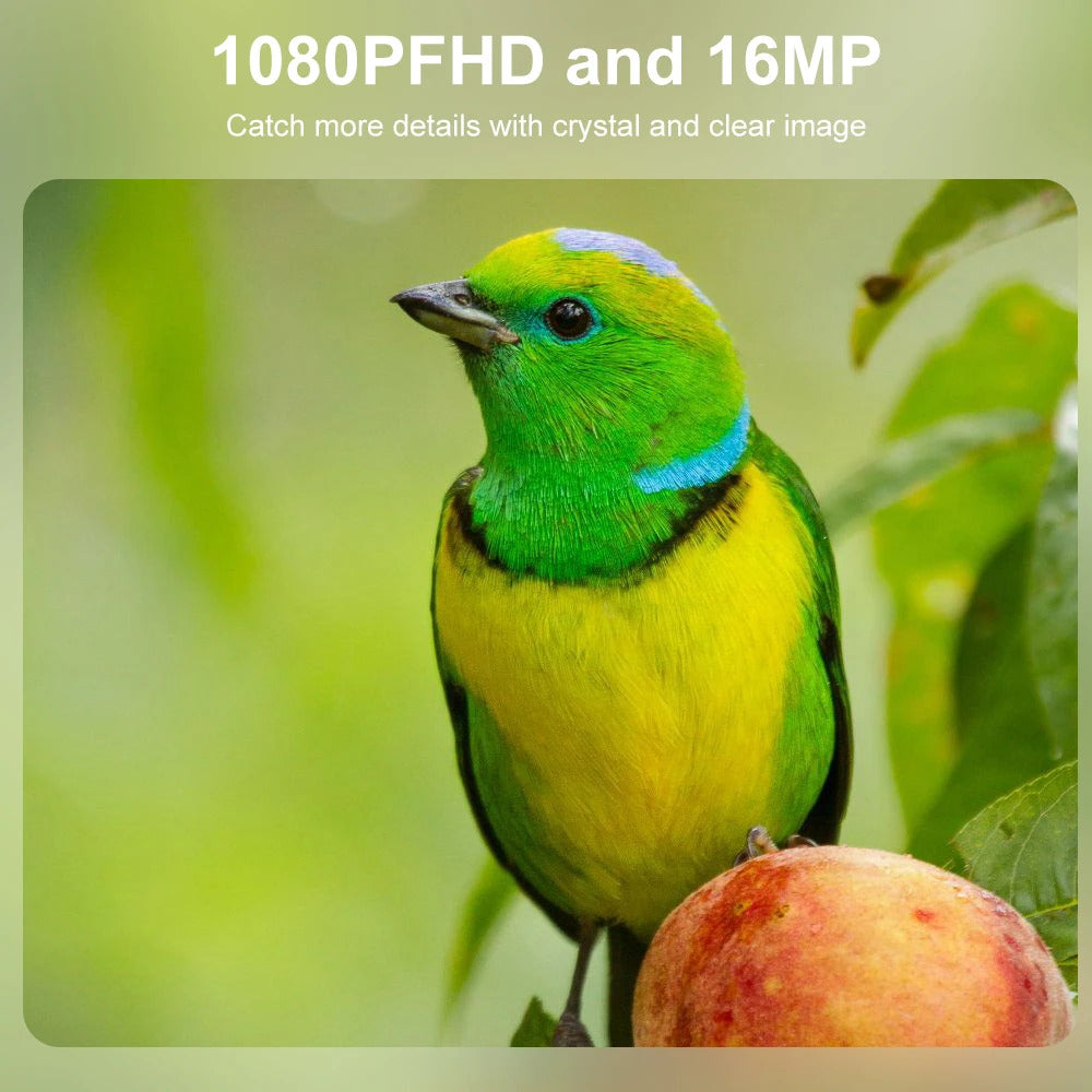 WILDLIFE / HUNTING TRACKING CAMERA - NIGHT VISION BATTERY POWERED