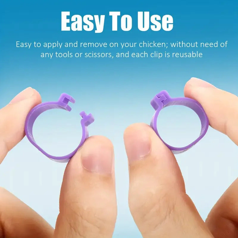 100 x BIRD LEG TAGS 5 COLOURS